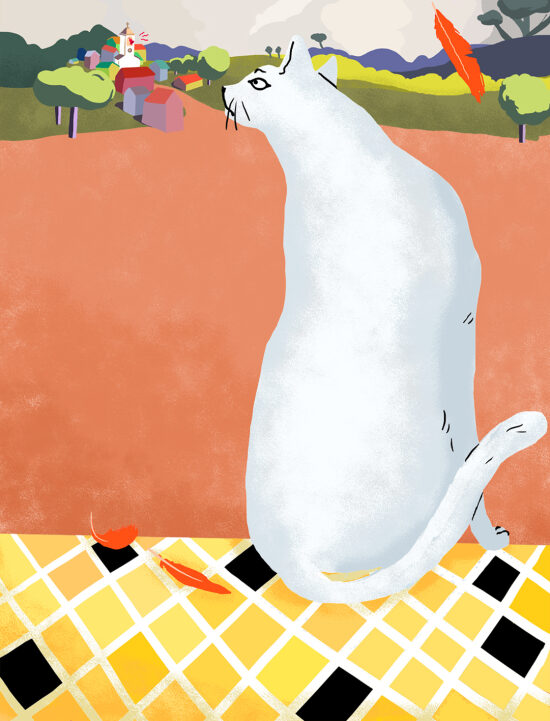 "Le chat et l'oiseau"